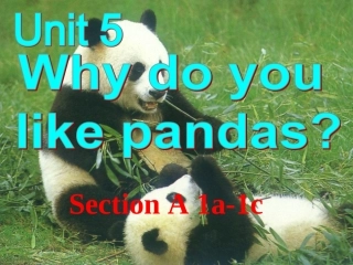 七年级英语下册Unit5SectionA1a-1c