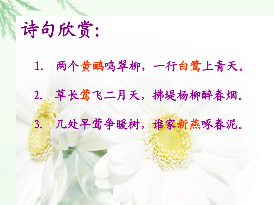 《珍珠鸟》课件_第2页