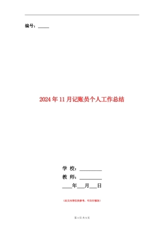 2024年11月记账员个人工作总结