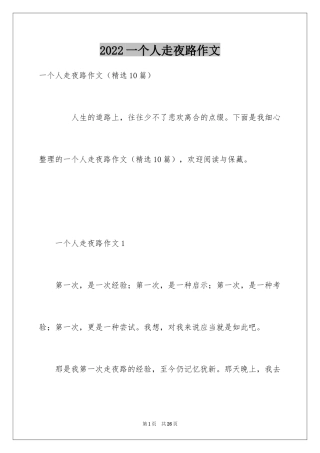 2024一个人走夜路作文