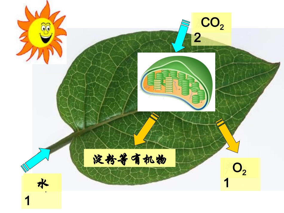 光合作用的探究历程_第2页
