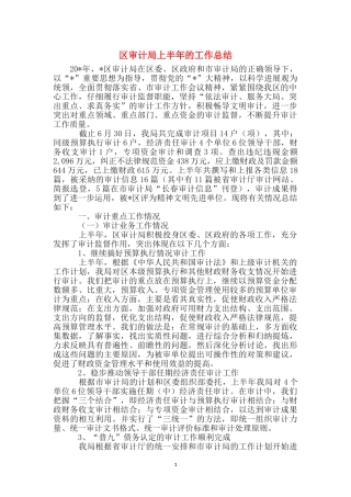 区审计局上半年的工作总结