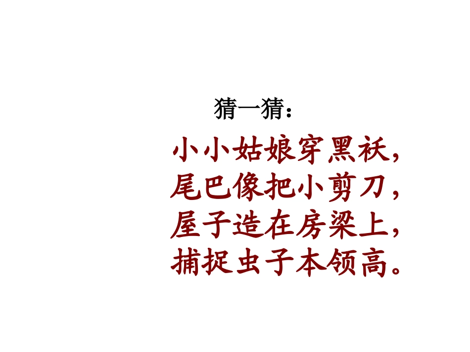 燕子第一课课件_第2页