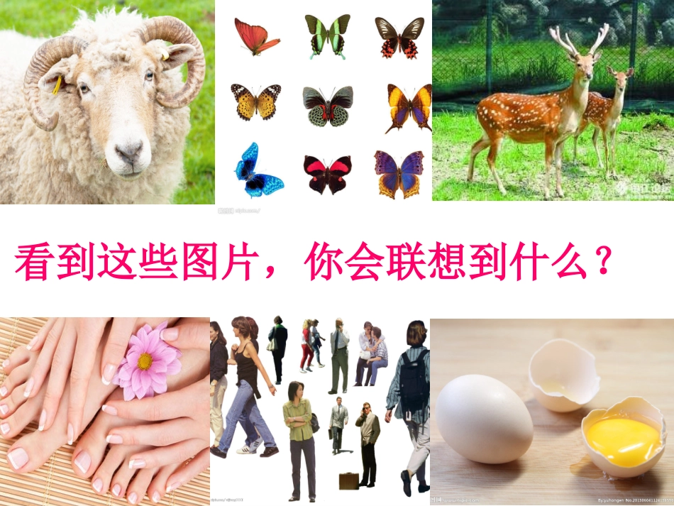 纸板的联想——座椅的设计_第1页