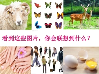 纸板的联想——座椅的设计