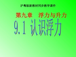 《91认识浮力》2