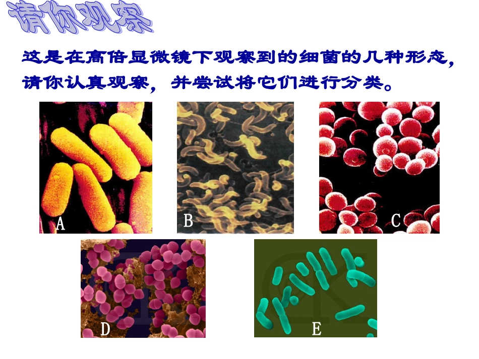 神奇的微生物_第3页