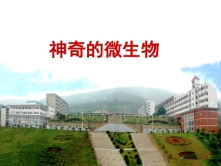 神奇的微生物