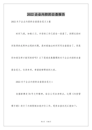 2024企业内控的自查报告