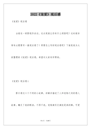 2024《宠爱》观后感