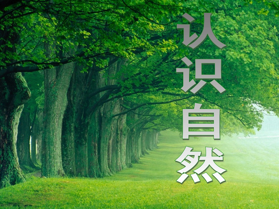 小学三年级品德与社会三上《认识自然》_第2页