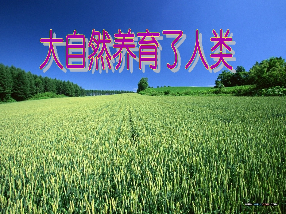 小学三年级品德与社会三上《认识自然》_第3页