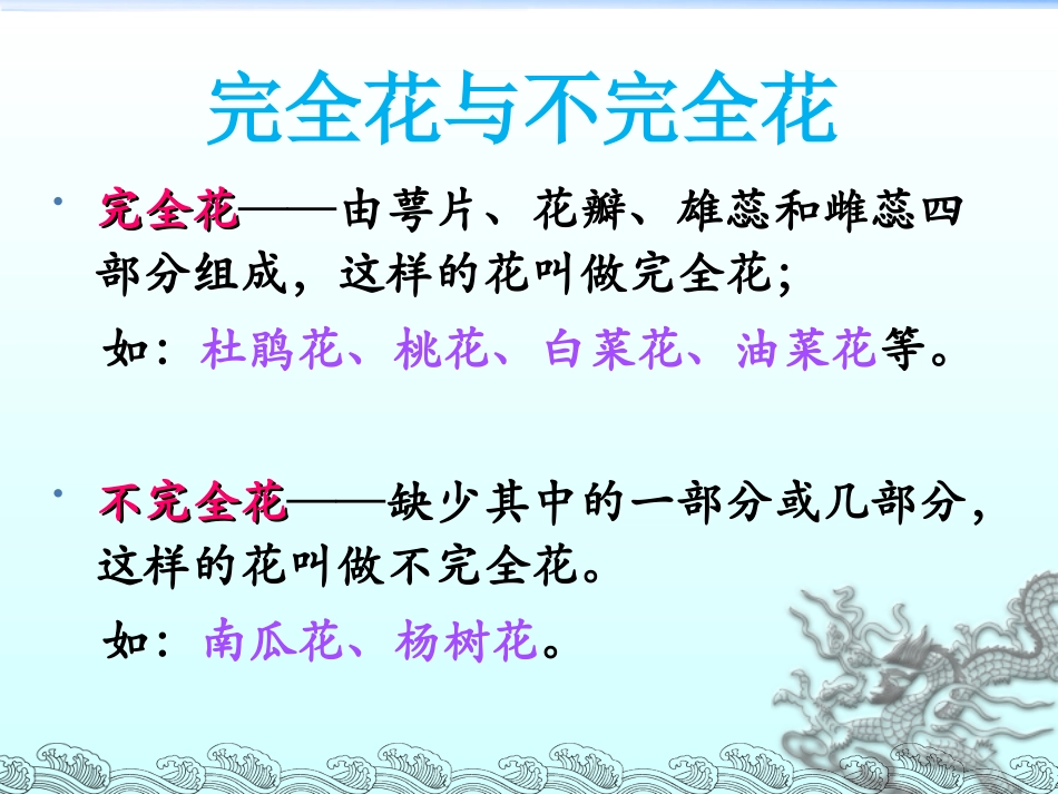 新科教版花果实和种子()_第1页