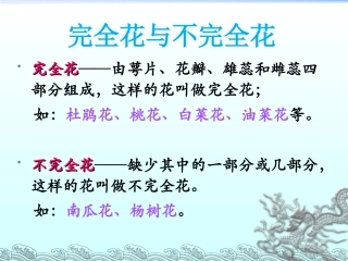 新科教版花果实和种子()