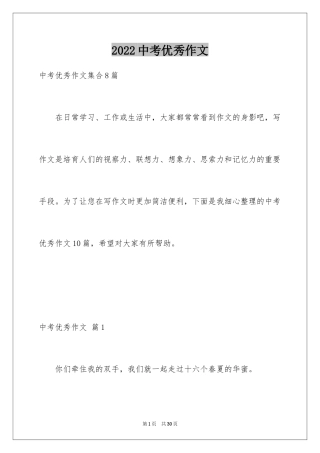 2024中考优秀作文_210