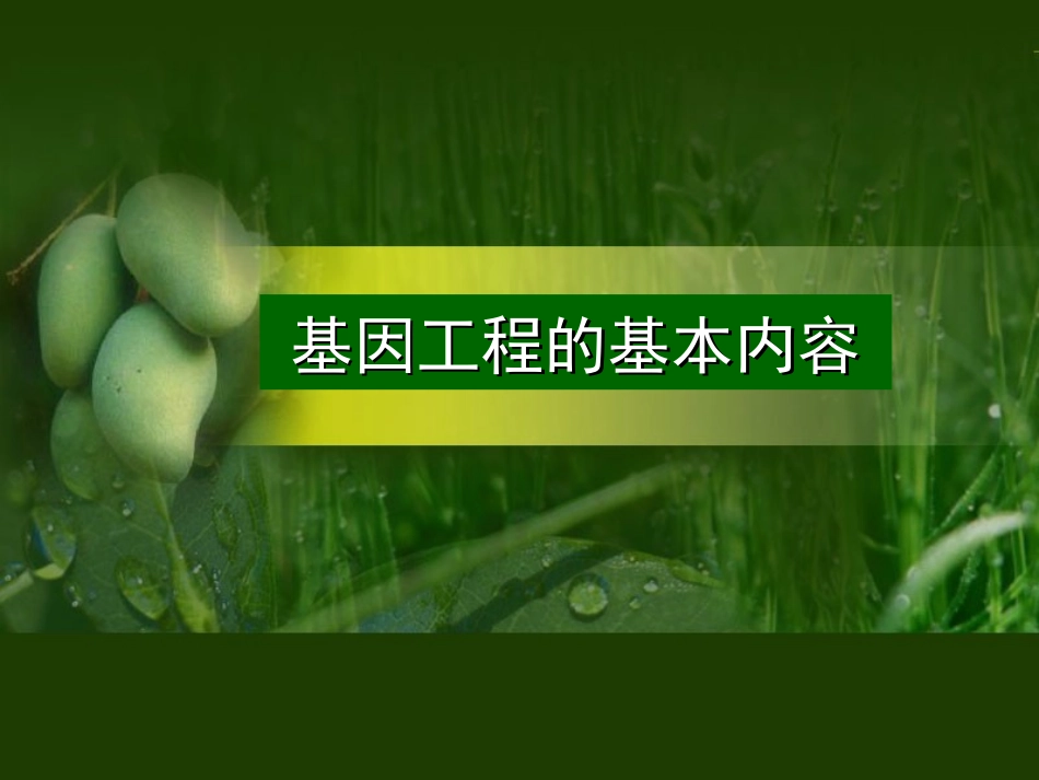 基因工程的基本内容_第1页
