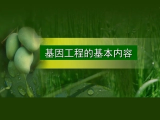 基因工程的基本内容