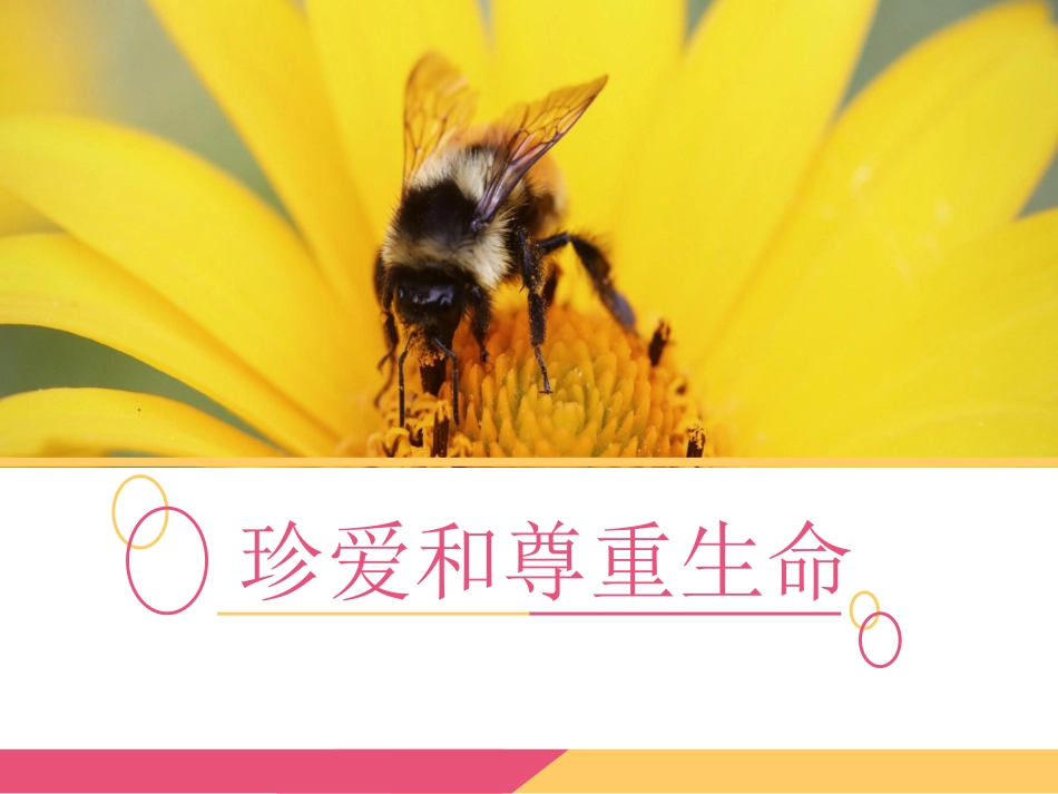 思品考点1-2_第1页