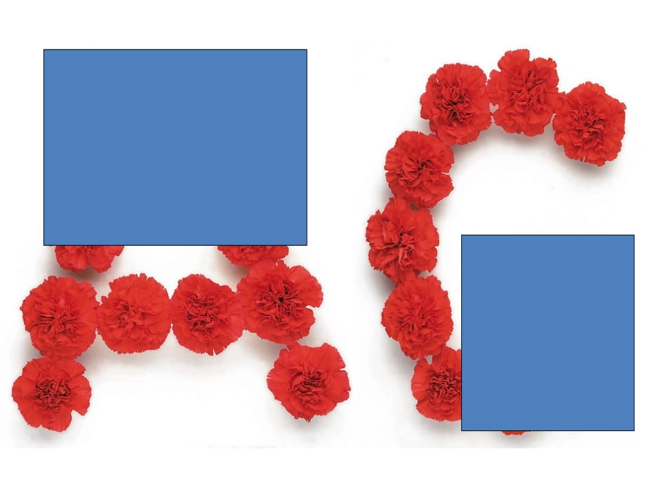 人教版新目标七年级英语上册-Starter-Unit-2-What's-this-in-English1a-1c(1)_第3页