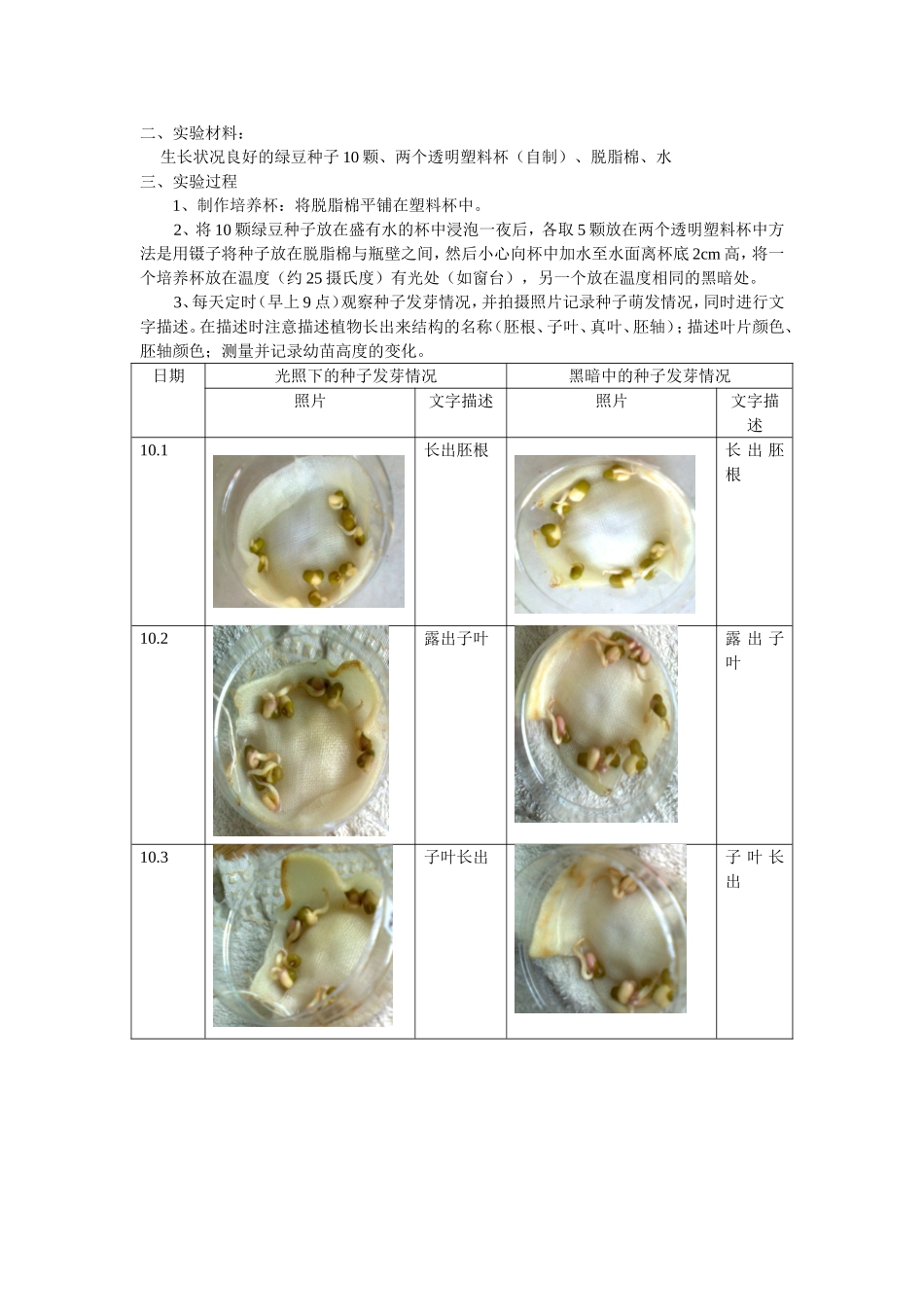 -植物种子萌发实验报告_第2页