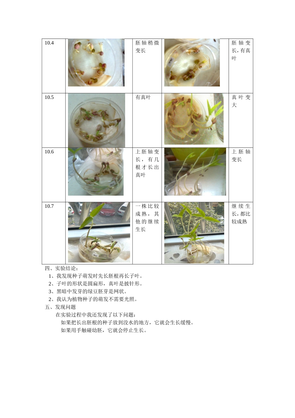 -植物种子萌发实验报告_第3页