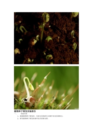 -植物种子萌发实验报告