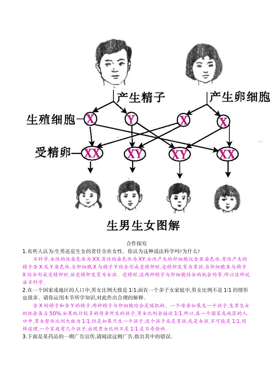 八年级下24《人的性别遗传》导学案_第2页