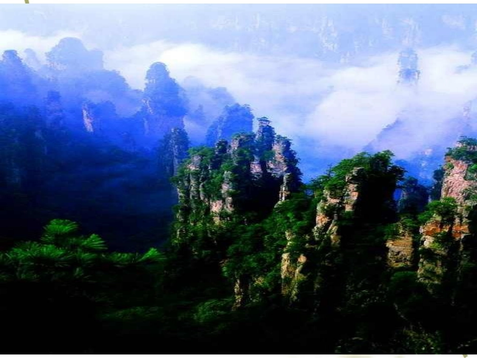 索溪峪的野12_第2页