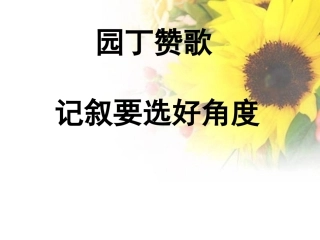 园丁赞歌记叙要选好角度