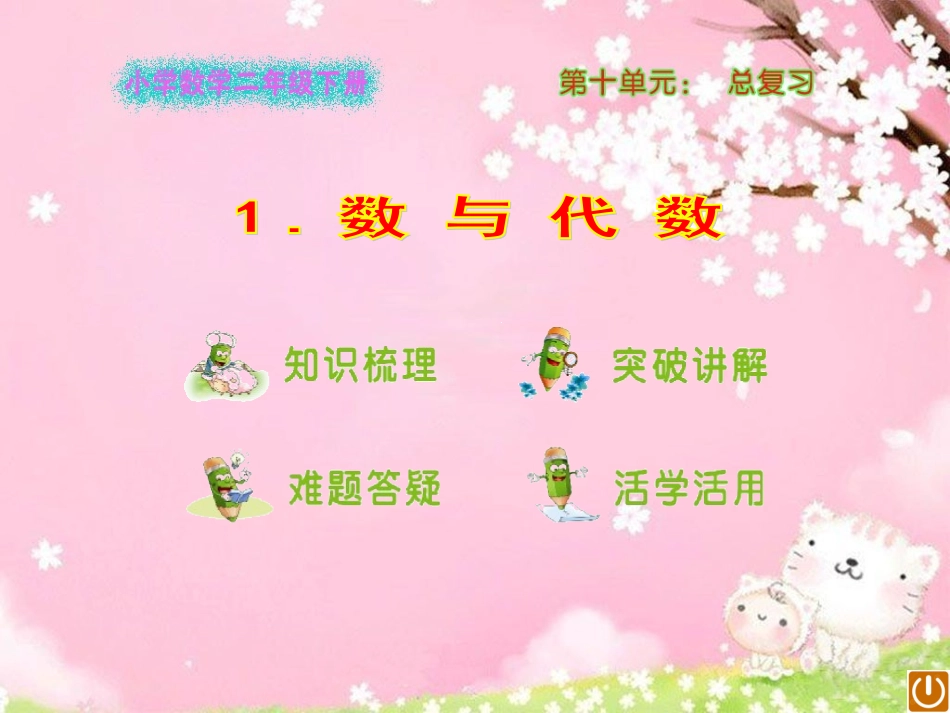数与代数课件_第1页