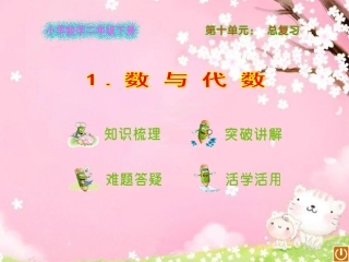 数与代数课件