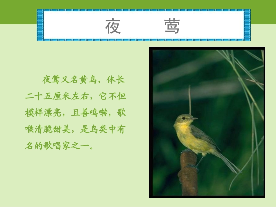 夜莺的歌声 ()_第2页