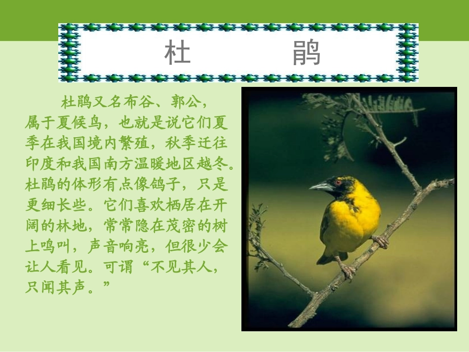 夜莺的歌声 ()_第3页