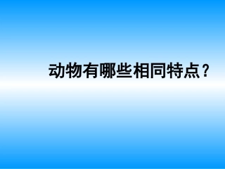 动物有哪些相同特点PPT三上
