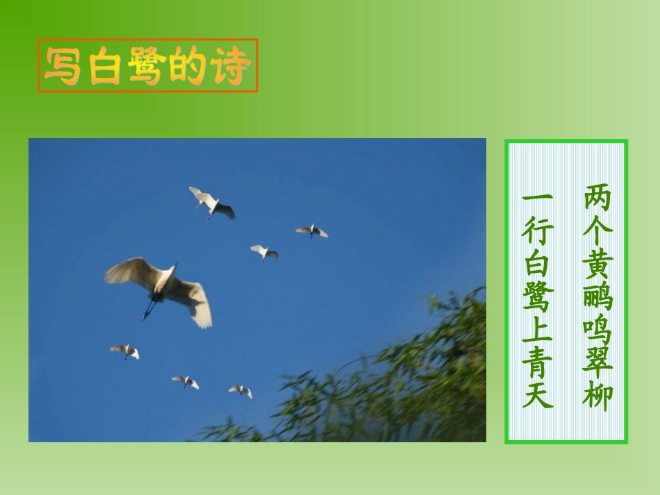 十三_散文家谈散文_第2页
