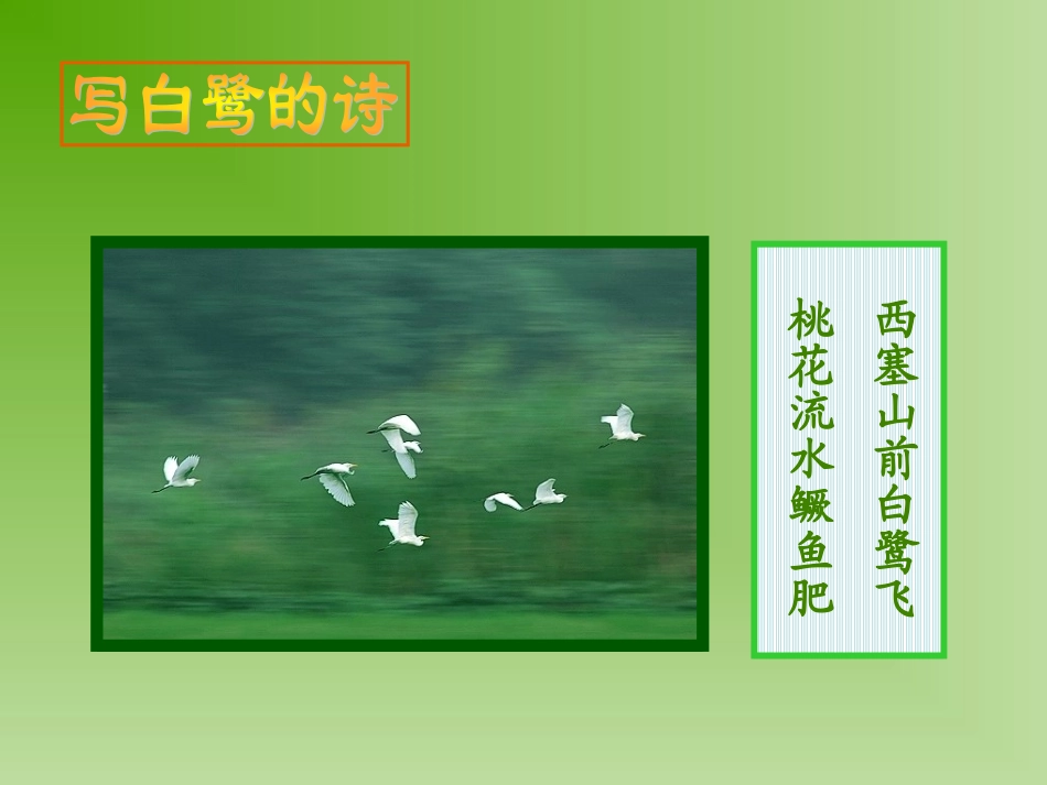 十三_散文家谈散文_第3页