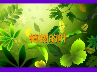 植物的叶PPT三上