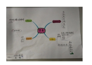 思维导图Doc1