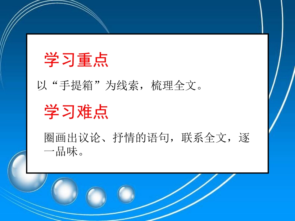 父亲的手提箱_第3页