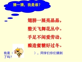 《蜜蜂引路》PPT