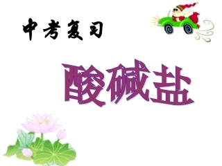 酸碱盐复习离子共存