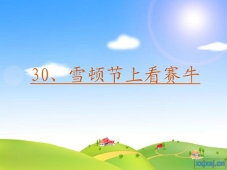 《雪顿节上看赛牛》