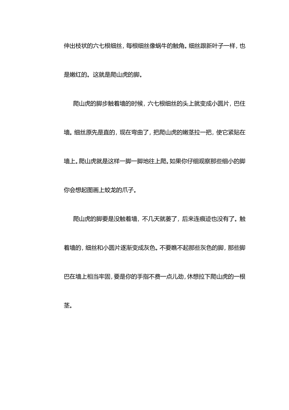 爬山虎的脚课文_第2页