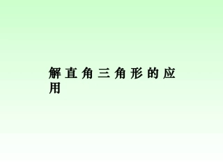 中考专题复习解直角