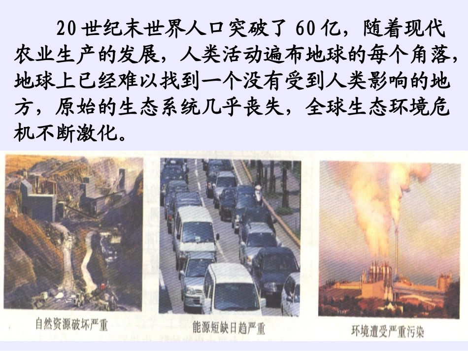 _生态工程的基本原理_第2页