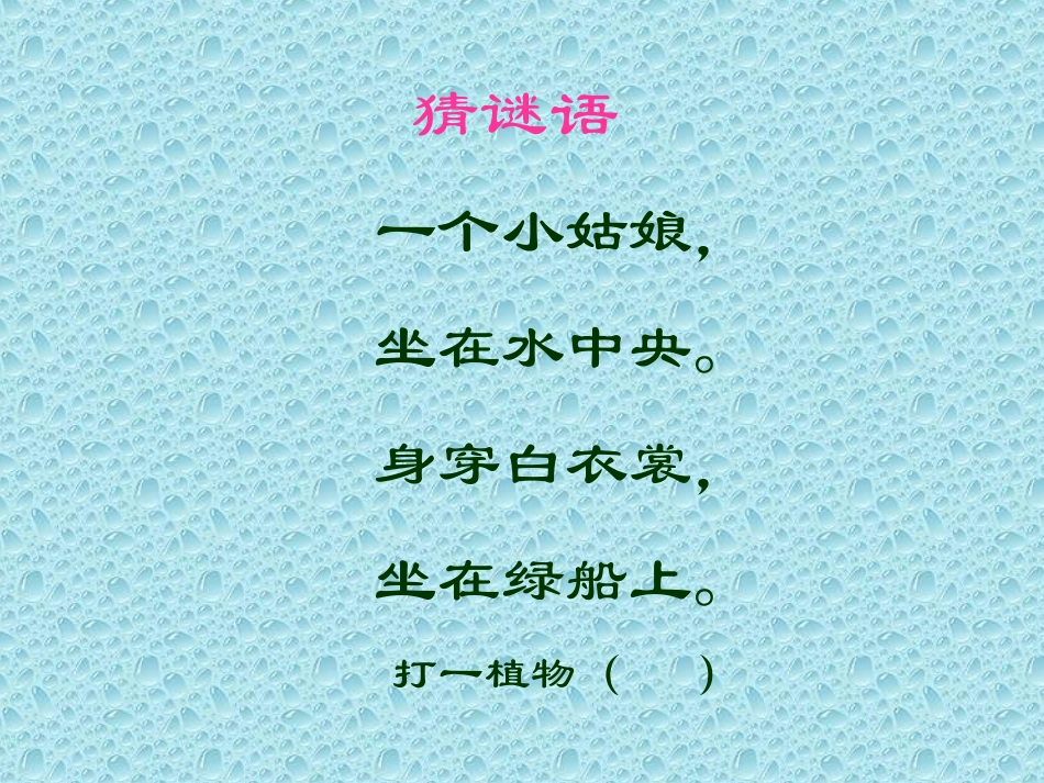 荷花课件_语程蓉_第1页