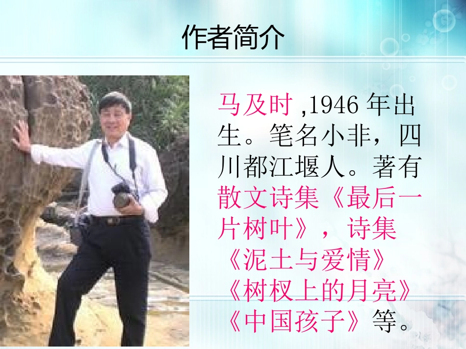 《王几何》课件_第2页