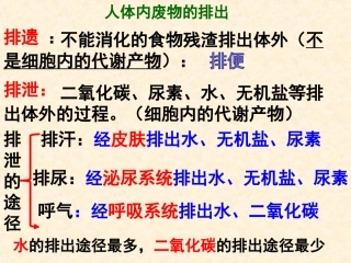 人体泌尿系统的组成及功能课件1