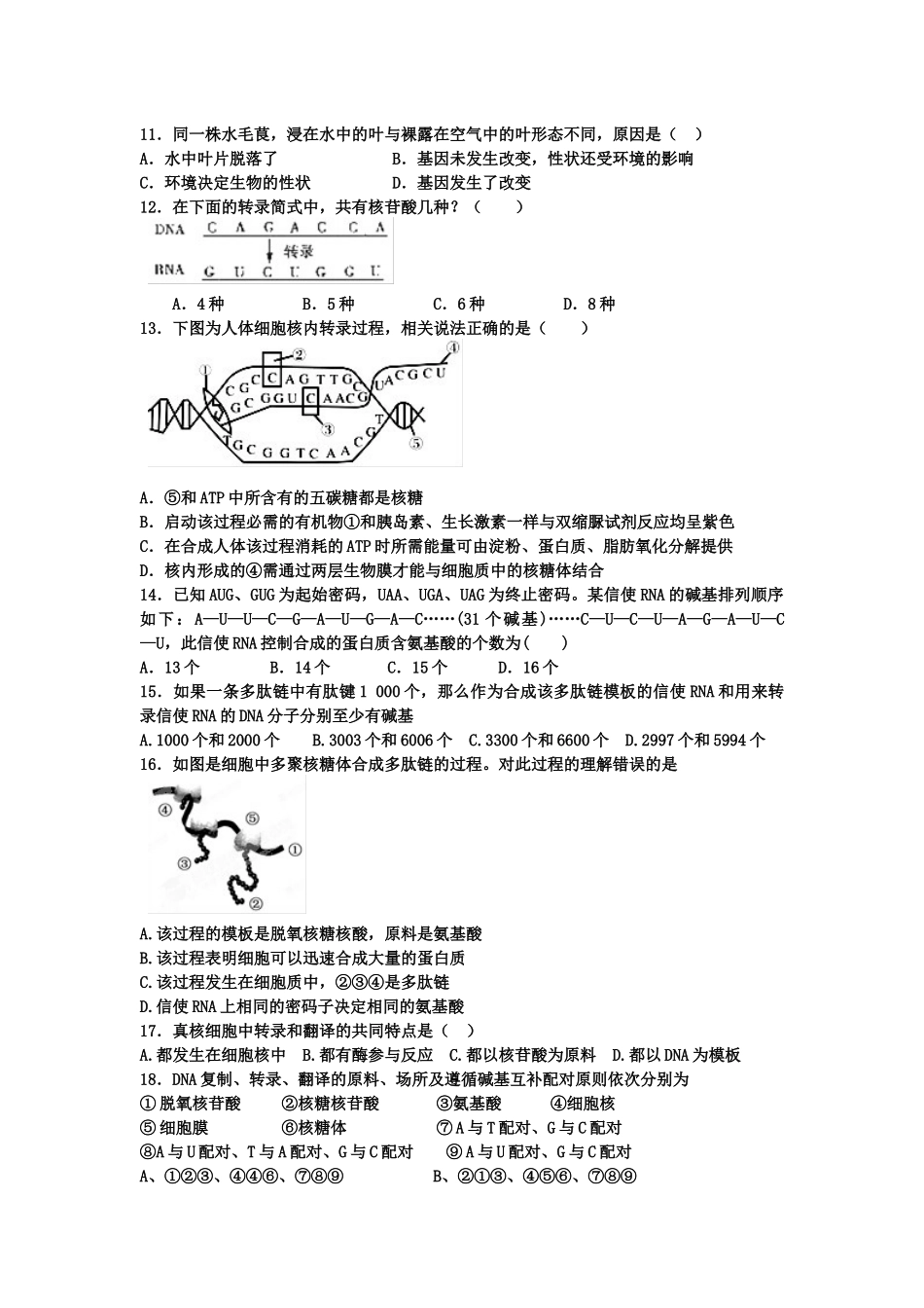 高中生物必修2第四章试卷_第2页