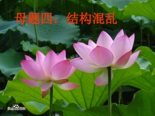 辨析与修改病句之母题解读